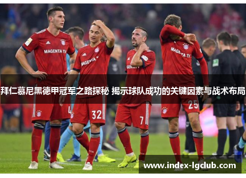 拜仁慕尼黑德甲冠军之路探秘 揭示球队成功的关键因素与战术布局