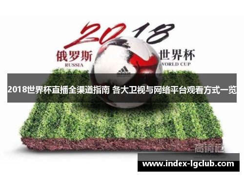 2018世界杯直播全渠道指南 各大卫视与网络平台观看方式一览