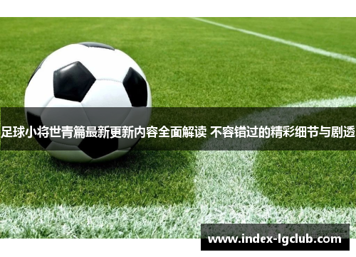 足球小将世青篇最新更新内容全面解读 不容错过的精彩细节与剧透