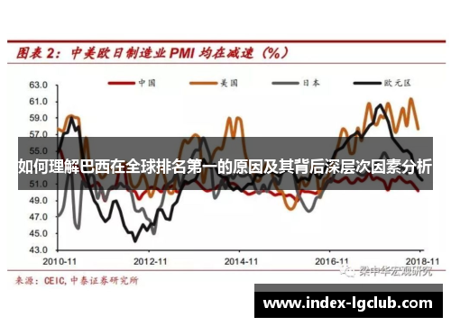 如何理解巴西在全球排名第一的原因及其背后深层次因素分析