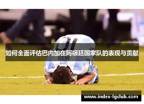 如何全面评估巴内加在阿根廷国家队的表现与贡献