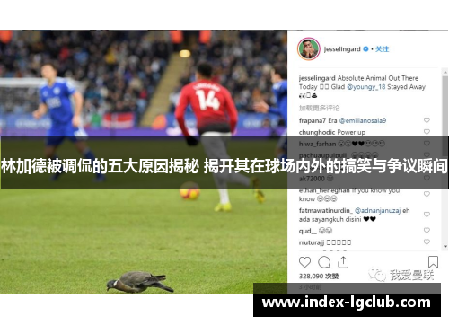 林加德被调侃的五大原因揭秘 揭开其在球场内外的搞笑与争议瞬间 林加德被调侃的五大原因揭秘 揭开其在球场内外的搞笑与争议瞬间