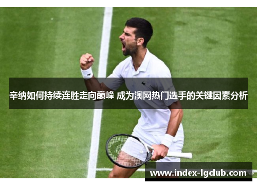 辛纳如何持续连胜走向巅峰 成为澳网热门选手的关键因素分析