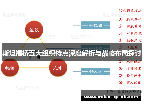 斯坦福桥五大组织特点深度解析与战略布局探讨