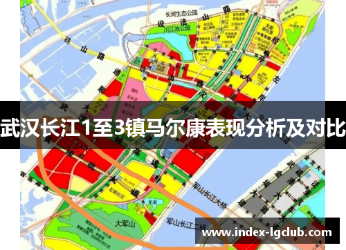 武汉长江1至3镇马尔康表现分析及对比