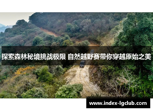 探索森林秘境挑战极限 自然越野赛带你穿越原始之美